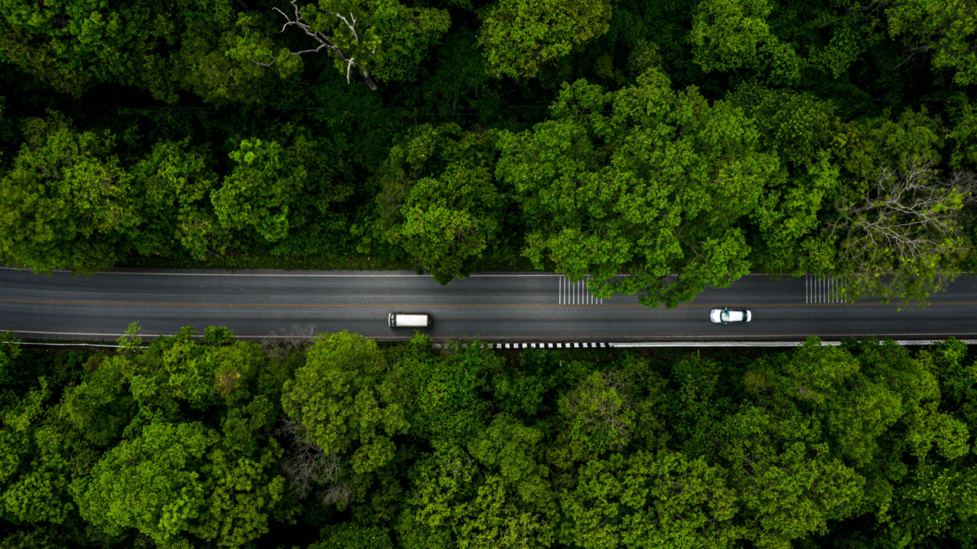 Confira cinco maneiras de contribuir para um transporte sustentável (Foto: Reprodução)